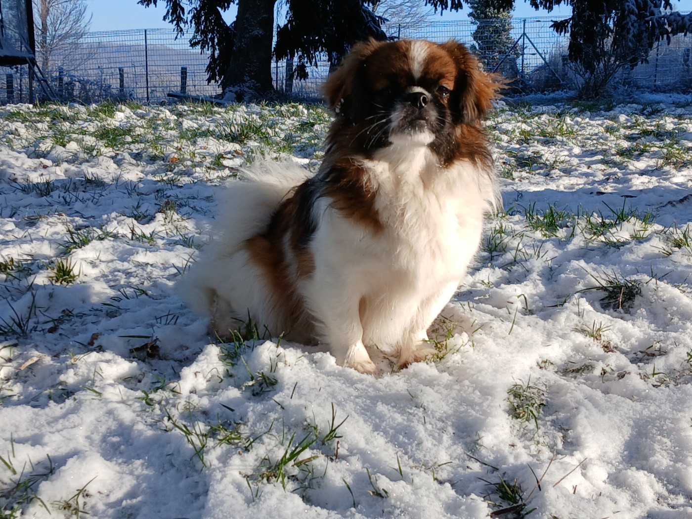 Vanille d'Elocera Parck