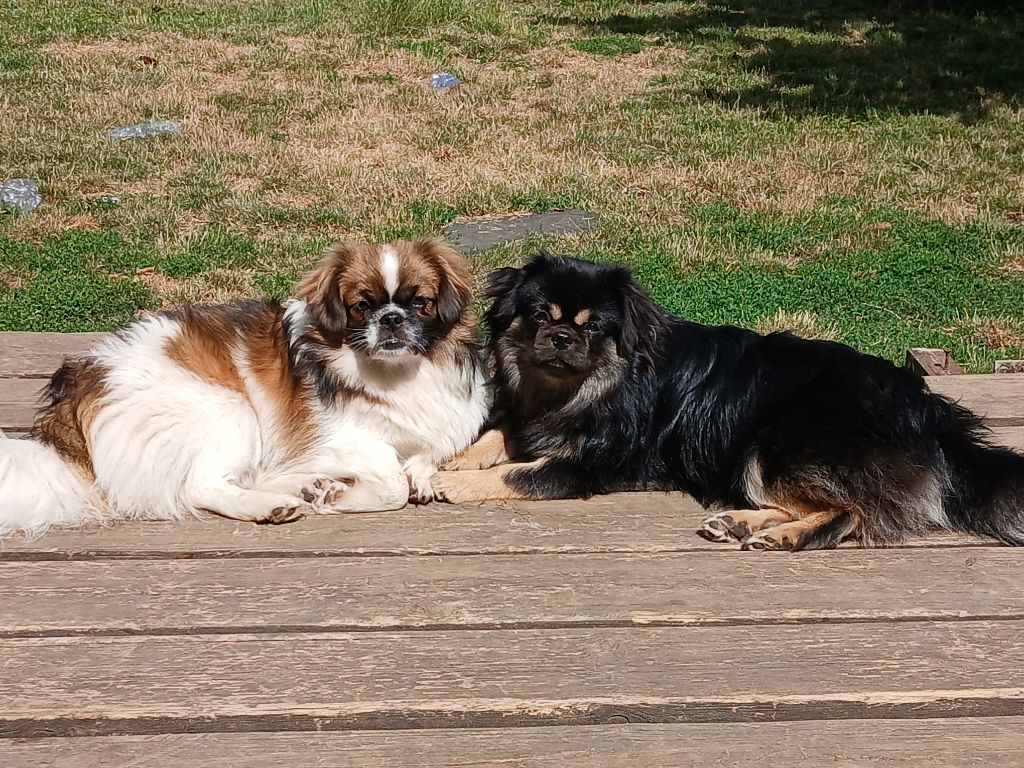 Vanille d'Elocera Parck