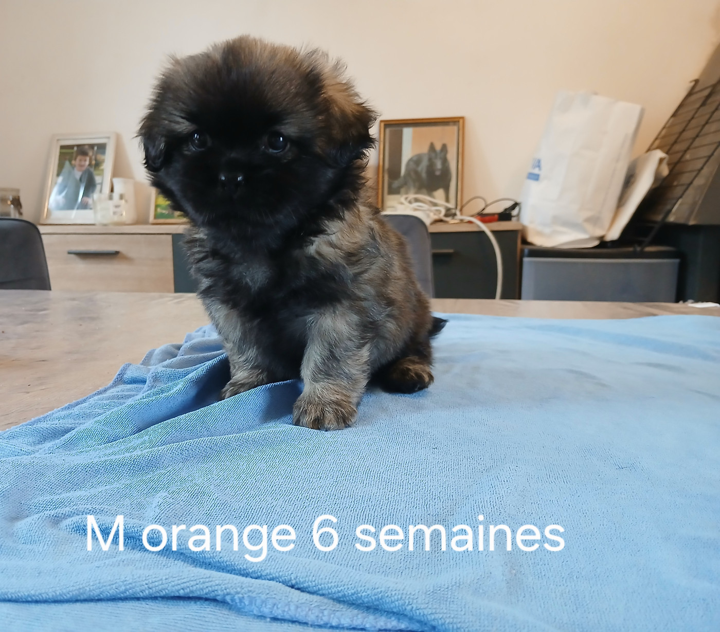 6 semaines aujourd'hui