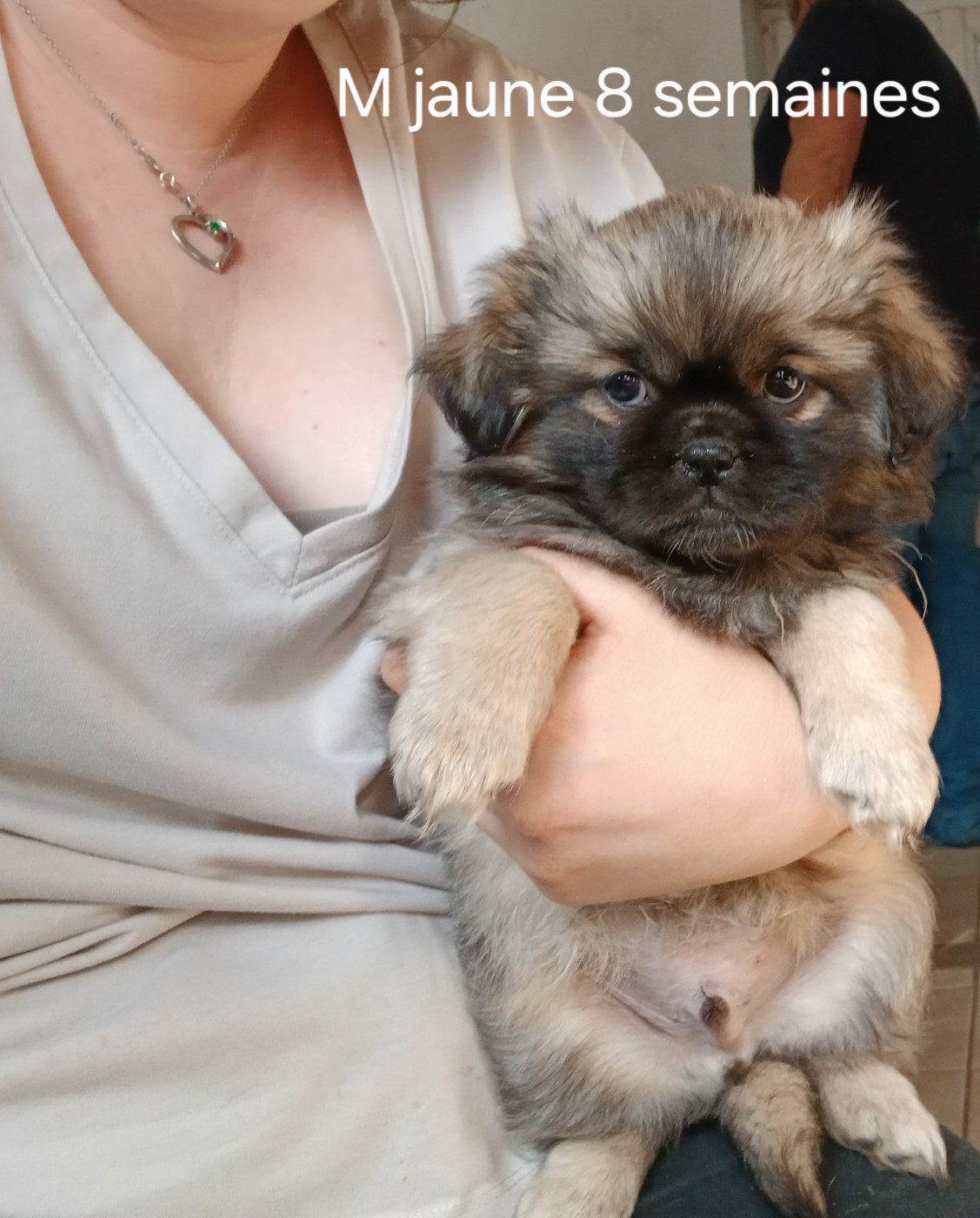 De La Légende De Chadia - Les bébés ont eu 8 semaines