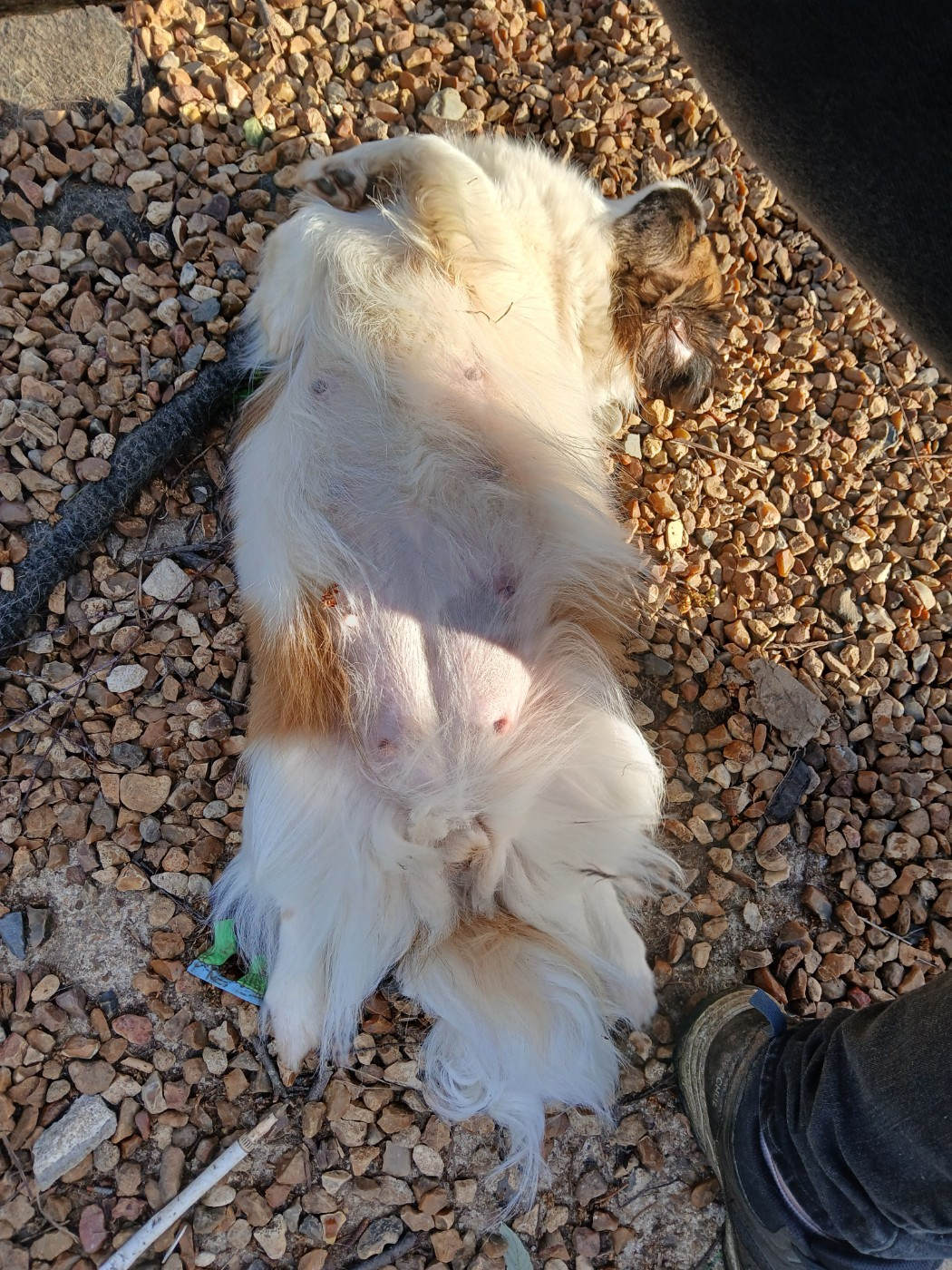 Plus que quelques jours