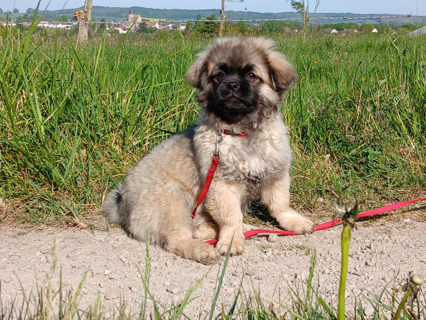 Nouvelles photos de nos bébés