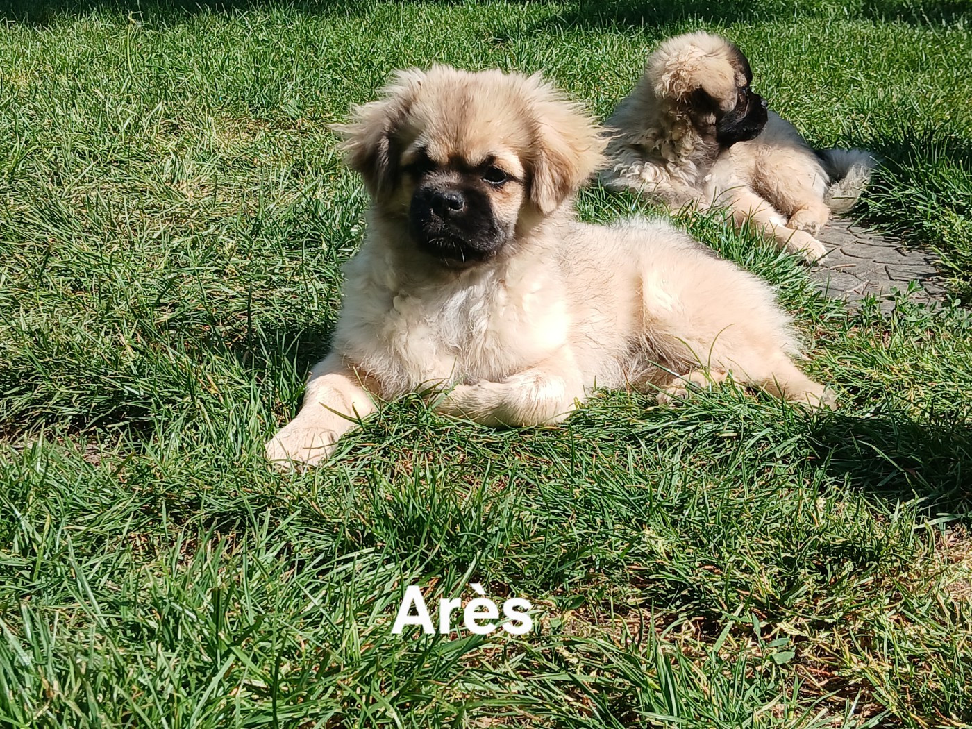 2 bébés attendent encore une famille