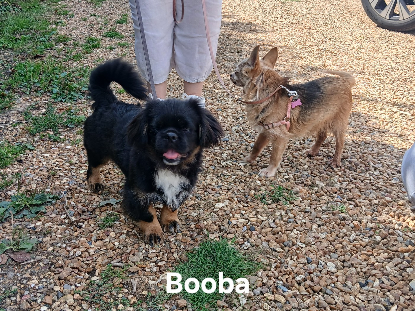 Booba a trouvé sa famille !