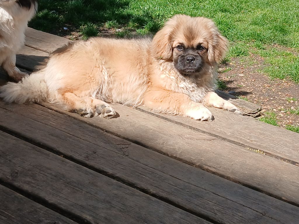 Mon bébé a rejoint sa nouvelle famille 