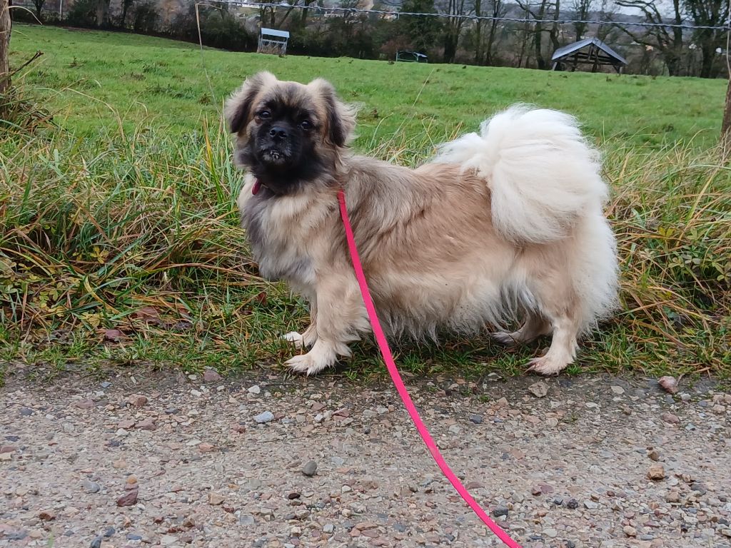 En attendant l'arrivée des bébés.....
